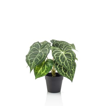 Anthurium artificiel TESHI, vert crème, 25cm