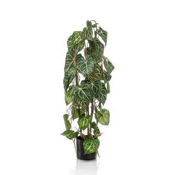 Anthurium décoratif YAMATO, vert, 75cm