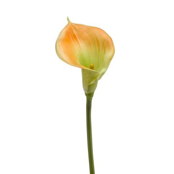 Fleur décorative Calla DAISCHI, jaune-vert, 70cm