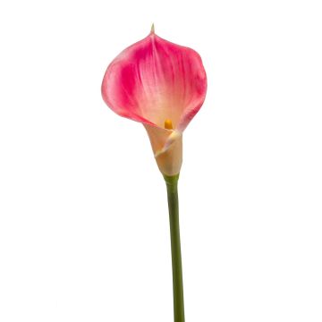 Fleur décorative Calla DAISCHI, rose-crème, 70cm