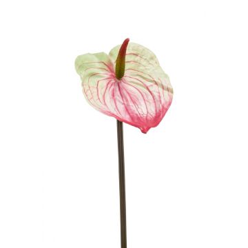 Fleur d'anthurium artificielle YUSEI, rose-vert, 65cm