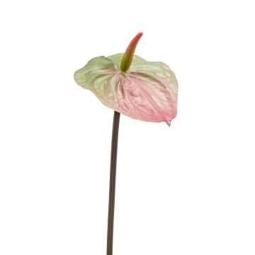 Fleur d'anthurium artificielle YUSEI, vert-rose, 65cm