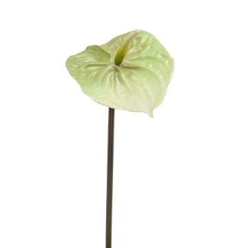 Fleur d'anthurium artificielle YUSEI, vert-crème, 65cm