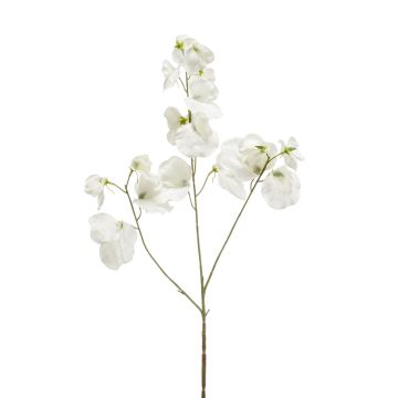 Pois de senteur artificiel KANZI, crème, 75cm Pois de senteur artificiel KANZI, crème, 75cm
