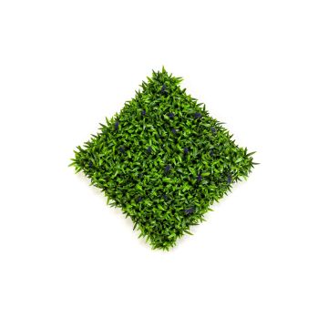 Mur végétal artificiel DECAN, avec lavande, crossdoor, vert, 50x50cm