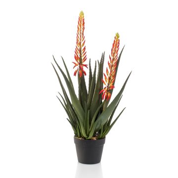 Plante artificielle Aloe Vera SUSUMI avec fleurs, pot décoratif, orange-vert, 80cm