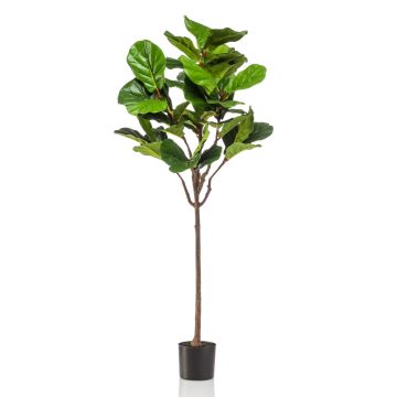 Ficus Lyrata synthétique ABIULA, tronc naturel, vert, 155cm