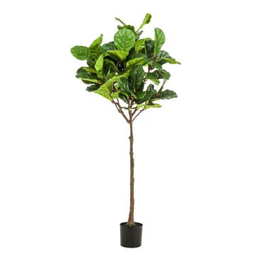 Ficus Lyrata synthétique ABIULA, tronc naturel, vert, 195cm