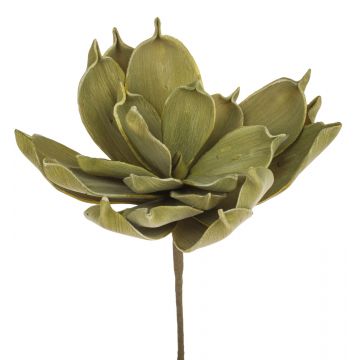 Plante artificielle Aloe Vera LIERA, vert olive, 30cm