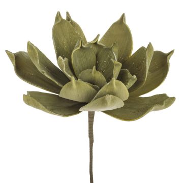 Plante artificielle Aloe Vera LIERA avec paillettes, vert olive, 30cm