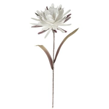 Fleur artificielle Reine de la nuit MOADI, blanc-vieux rose, 90cm