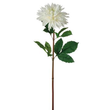 Fausse fleur Dahlia TURENA, crème-blanc, 75cm