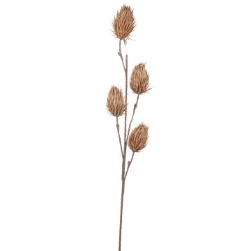 Chardon noble artificiel MISAEL, brun clair, 120cm