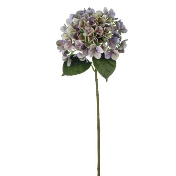 Hortensia artificiel RELENA, vert-violet, 65cm