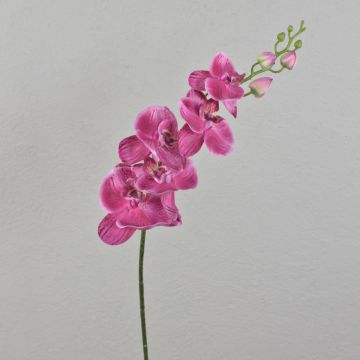 Tige artificielle d'orchidée Phalaenopsis AMARNE, fuchsia, 90cm