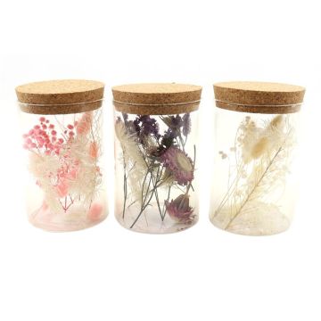 Fleurs séchées en pot en verre FELICITY, 3 pièces, rose-lilas-blanc, 13cm, Ø8cm