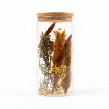Fleurs séchées en pot en verre LEIRA, brun-jaune, 20cm, Ø10cm