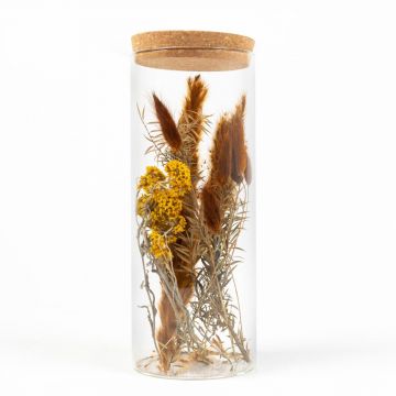 Fleurs séchées en pot en verre LEIRA, brun-jaune, 25cm, Ø10cm