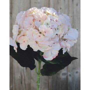 Hortensia en tissu ANGELINA, rose tendre, 70cm, Ø 23cm