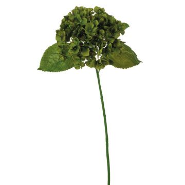 Hortensia en tissu LOBPURI, vert foncé, 55cm
