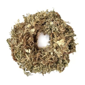 Couronne décorative de fleurs séchées MACARENA sur couronne de paille, Phalaris, crème-naturel, Ø25cm