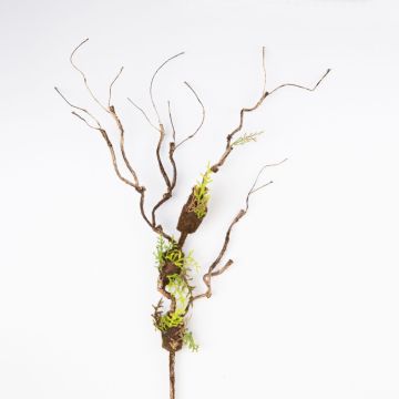 Branche artificielle de saule RODRIK, mousse, fougère, brun-vert, 80cm