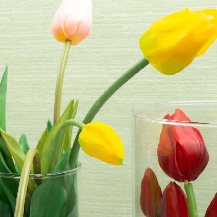 Fleurs de printemps
