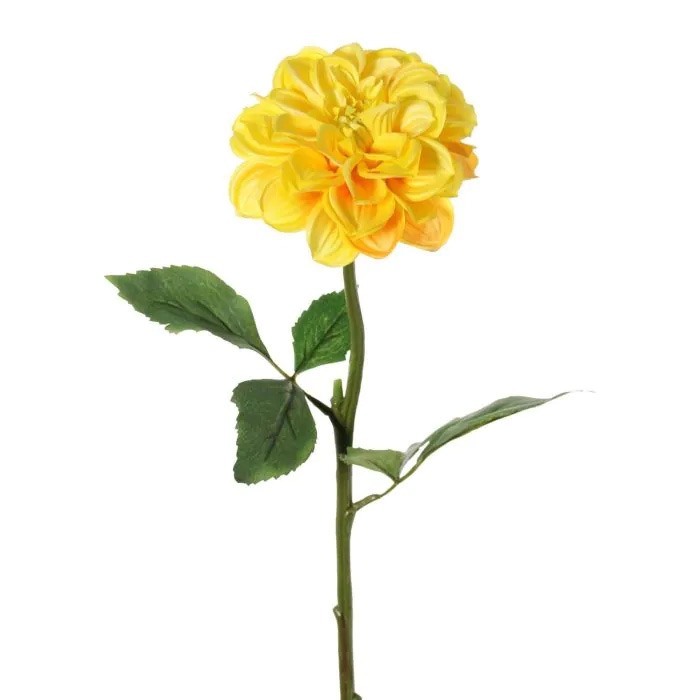 jaune
