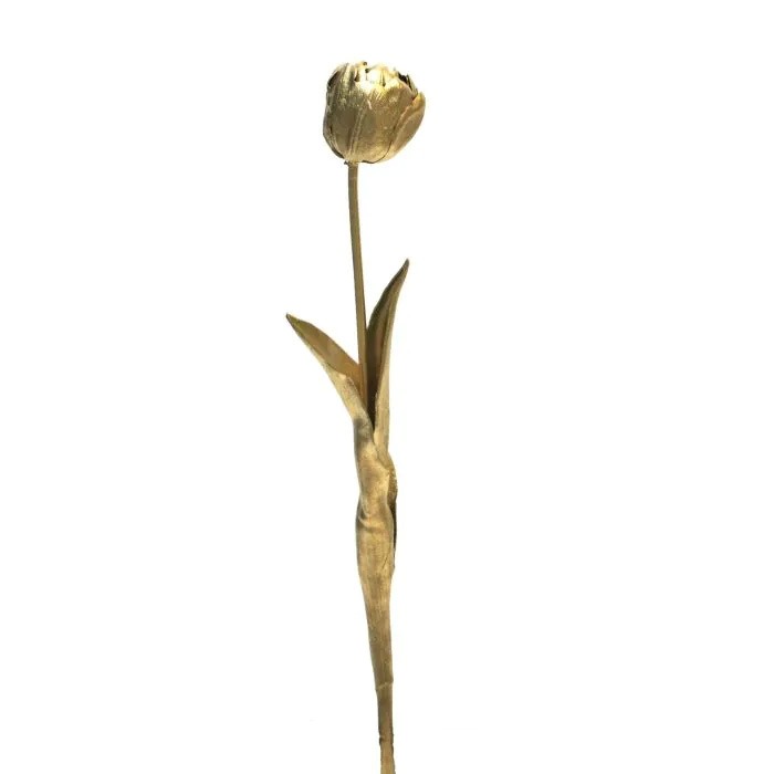 or