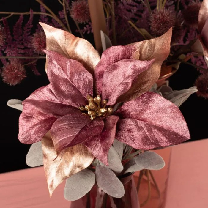 Fleurs d'hiver