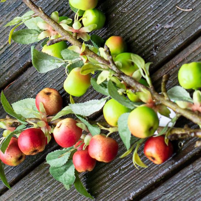Fruits / Plantes de A &agrave; Z