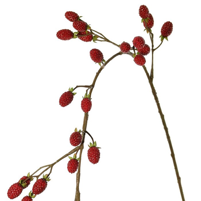 Fruits suspendus