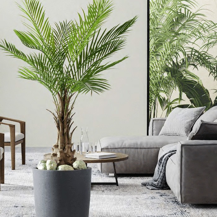 Plantes de A à Z