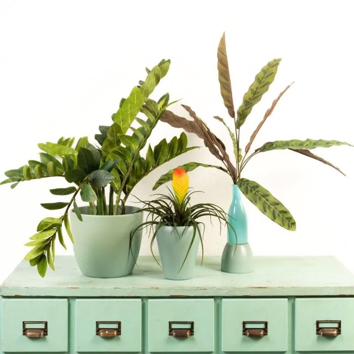 Green wave