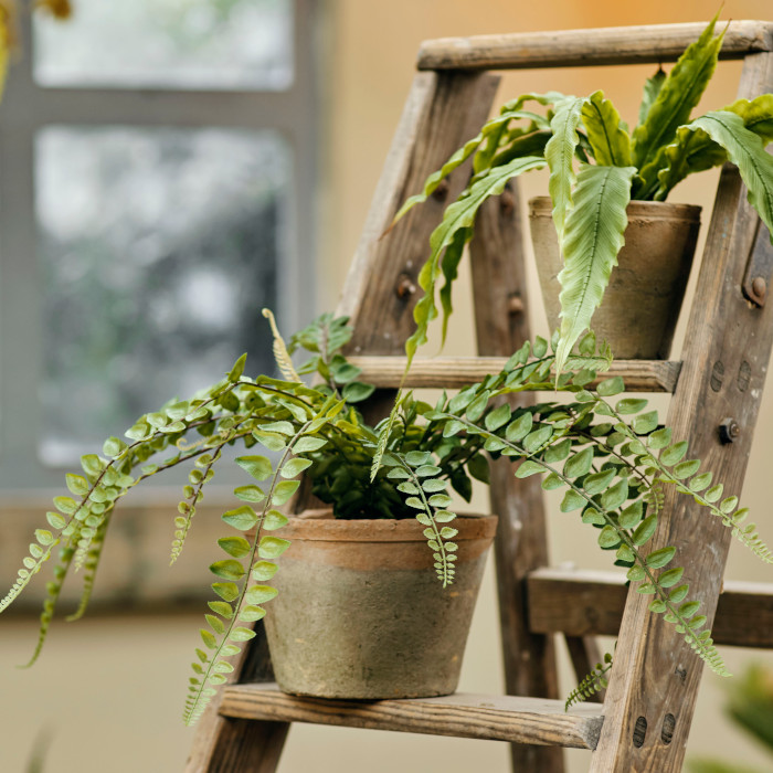 autres plantes artificielles