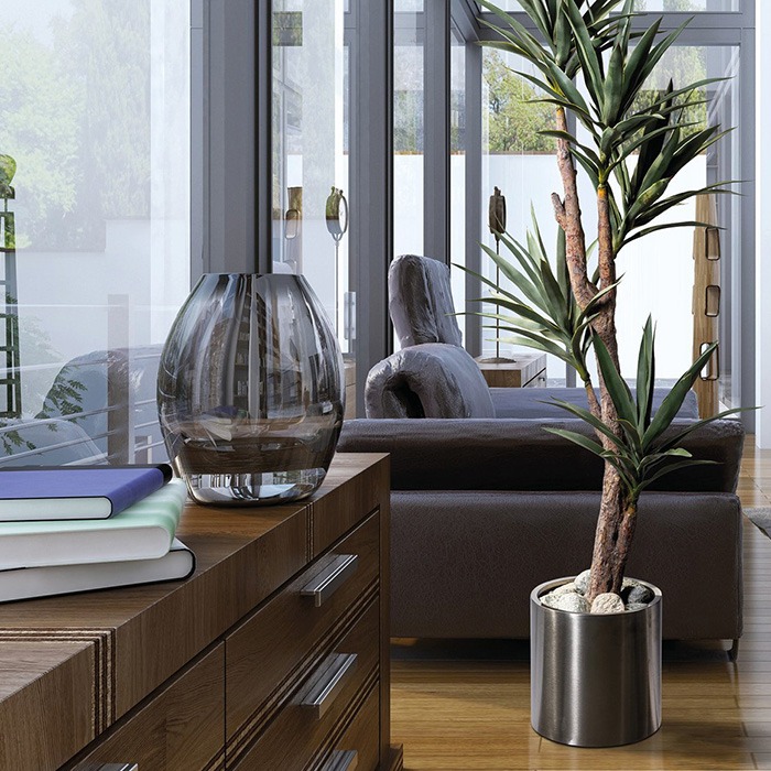 Plantes de A à Z
