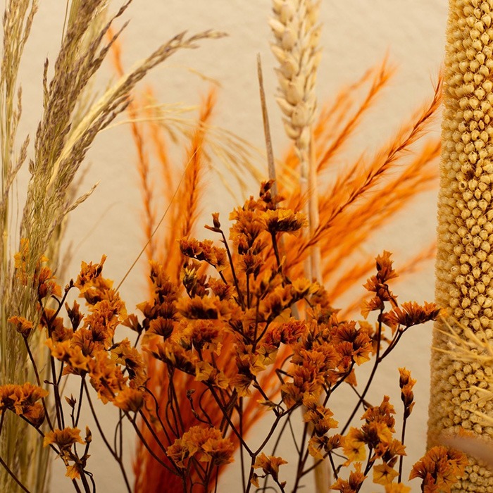 Fleurs séchées