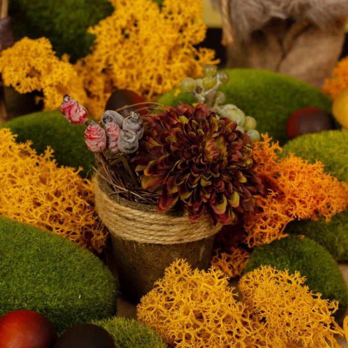 Compositions d'automne