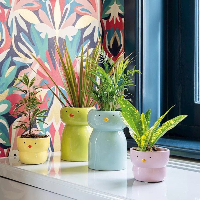 Pots de fleurs / de plantes