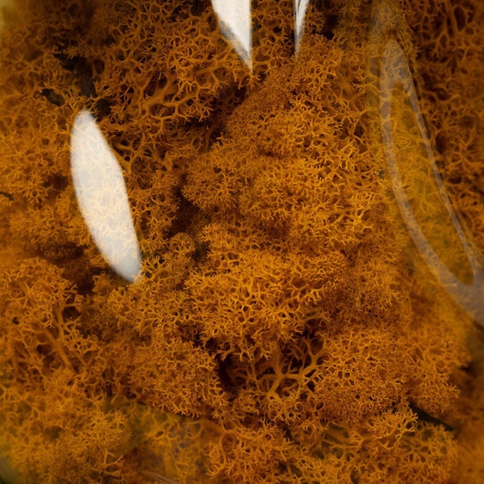 Plantes artificielles et fleurs séchées