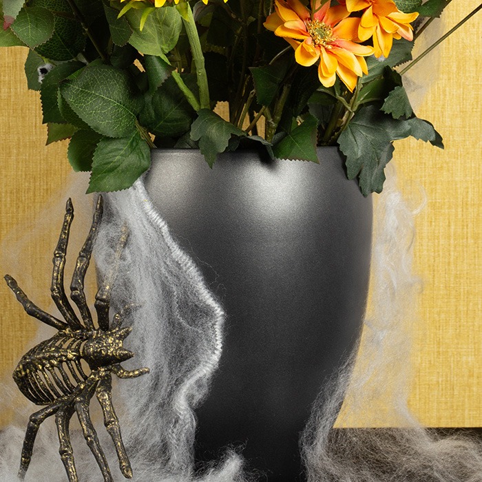 Vases / vases en bouteille