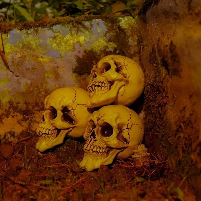 Têtes de mort