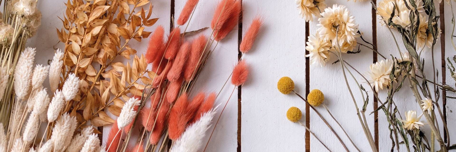 Fleurs séchées