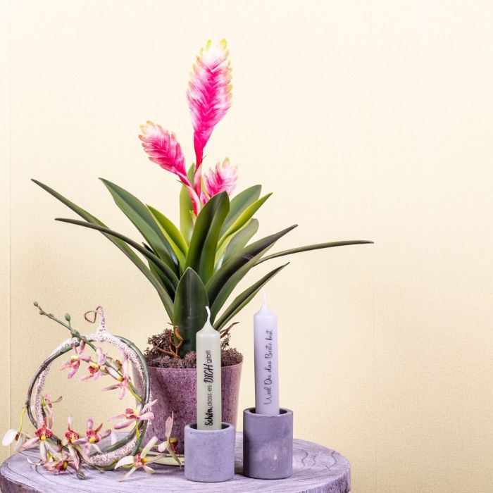 Je suis content que tu sois là !