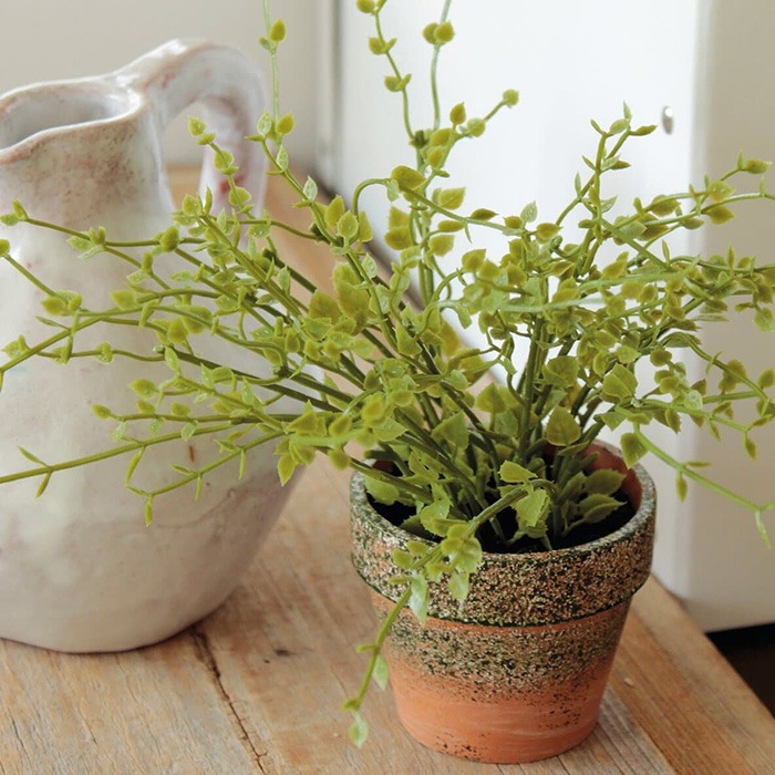 Plantes vertes pour tables de fête