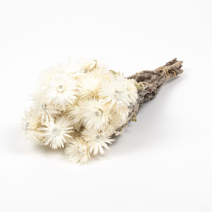 Bouquets de fleurs séchées