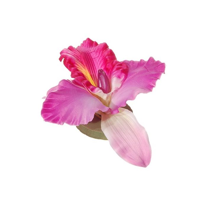 T&ecirc;tes de fleurs