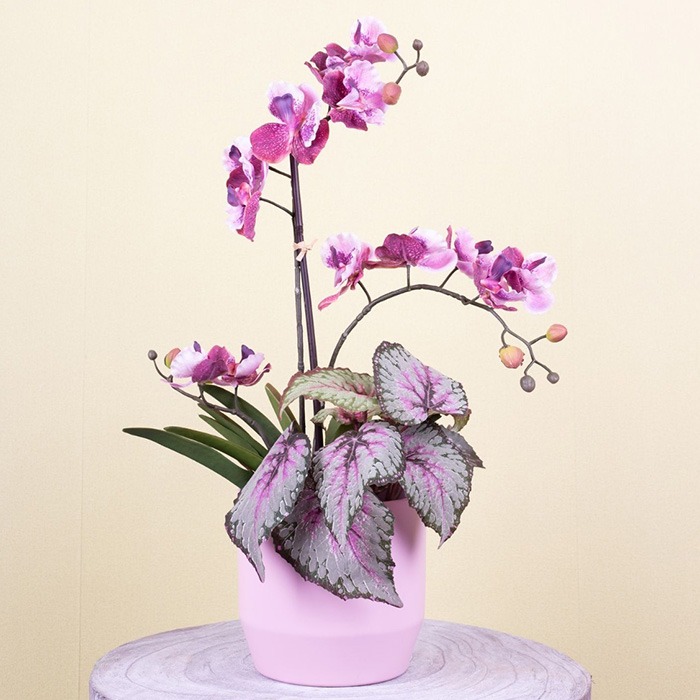 Fleurs