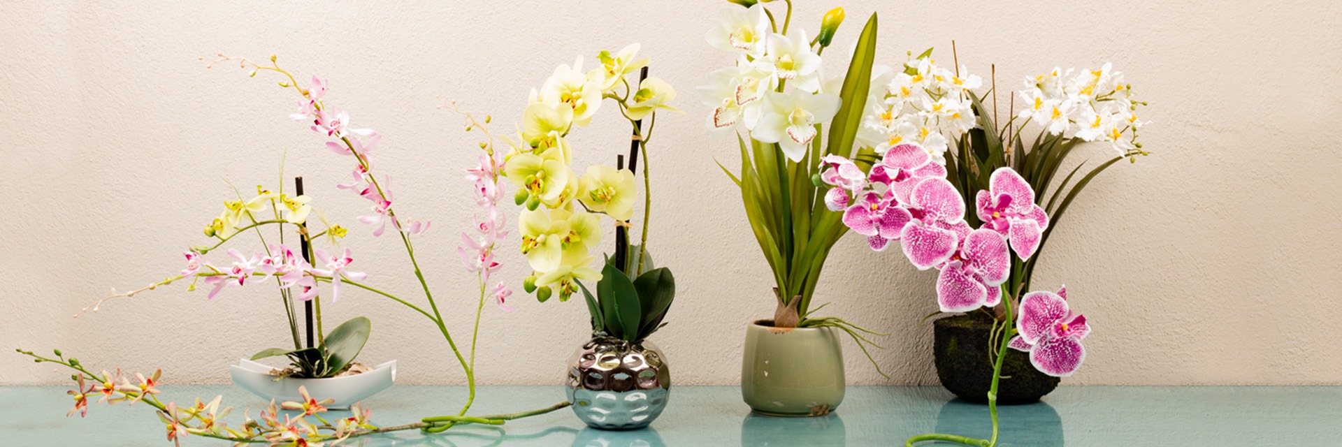 Orchid&eacute;es artificielles