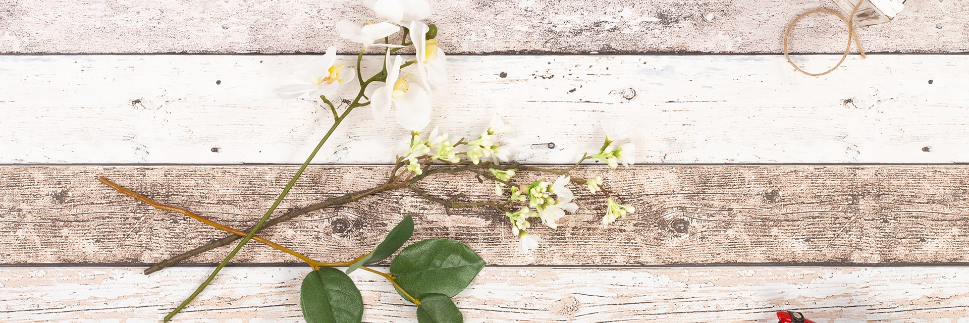 Bouquets &amp; arrangements d'orchid&eacute;es personnalis&eacute;s